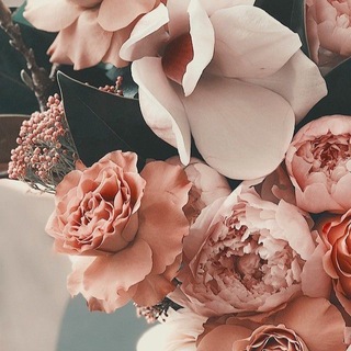 Логотип Телеграм канала . Бесплатная аналитика Telegram каналов