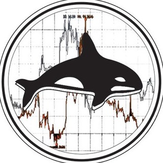 Telegram Channel logo . Free Telegram Channel Analytics