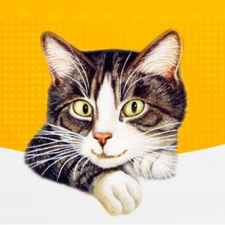 Логотип Телеграм канала +YINSRHumfxY5MWQy. Бесплатная аналитика Telegram каналов