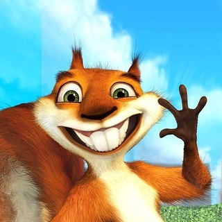 Telegram Channel logo belkaamigu. Free Telegram Channel Analytics