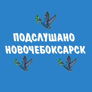 Логотип Телеграм канала pnowch. Бесплатная аналитика Telegram каналов