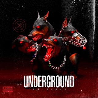 Логотип Телеграм канала . Бесплатная аналитика Telegram каналов