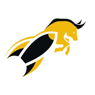 Telegram Channel logo Bull Launch Pad. Free Telegram Channel Analytics