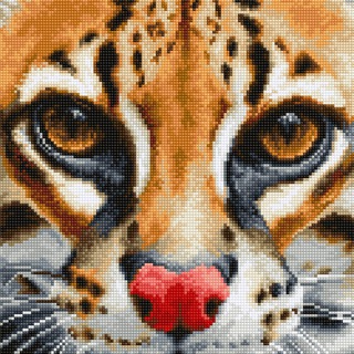 Логотип Телеграм канала . Бесплатная аналитика Telegram каналов