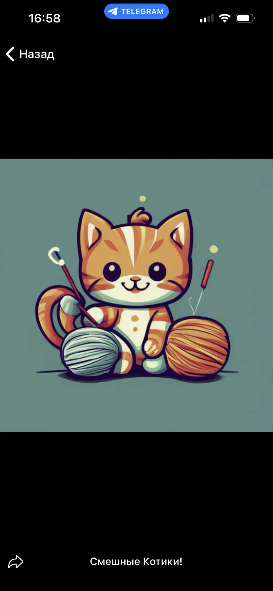 Логотип Телеграм канала catsfunnymax. Бесплатная аналитика Telegram каналов