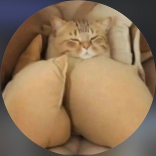 Логотип Телеграм канала . Бесплатная аналитика Telegram каналов