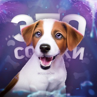 Telegram Channel logo etosobachki. Free Telegram Channel Analytics