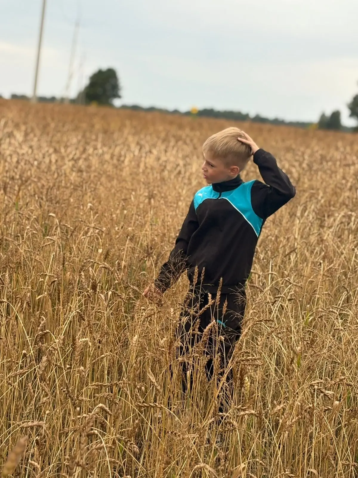 Telegram Channel logo e0lauaysasbkqgmtvznhnzdogykimb33tslbqdsiywk. Free Telegram Channel Analytics