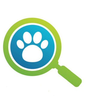 Telegram Channel logo zveryuga. Free Telegram Channel Analytics