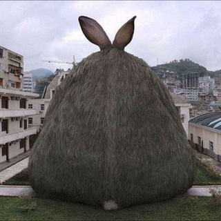 Логотип Телеграм канала Зая нимолчи. Бесплатная аналитика Telegram каналов