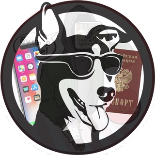 Логотип Телеграм канала Потеряшки_Уссурийск. Бесплатная аналитика Telegram каналов