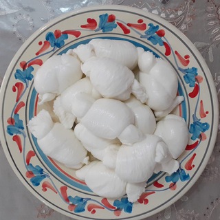 Telegram Channel logo Formaggio: Italian Cheese. Free Telegram Channel Analytics