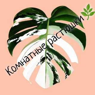 Логотип Телеграм канала . Бесплатная аналитика Telegram каналов