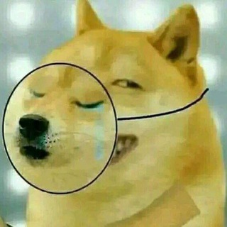 Логотип Телеграм канала SinhalaJoke. Бесплатная аналитика Telegram каналов