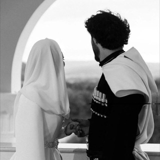 Логотип Телеграм канала . Бесплатная аналитика Telegram каналов