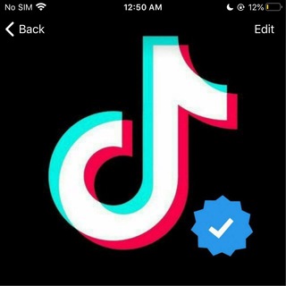 Telegram Channel logo ኢትዮጲያን TIkTok 🇪🇹. Free Telegram Channel Analytics