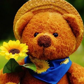 Telegram Channel logo vercanova. Free Telegram Channel Analytics