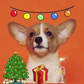 Telegram Channel logo kot_pes_23. Free Telegram Channel Analytics