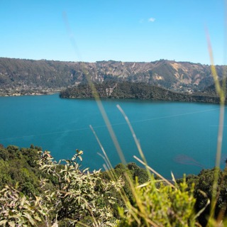 Telegram Channel logo . Free Telegram Channel Analytics