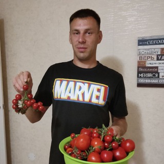 Telegram Channel logo samvirastil. Free Telegram Channel Analytics