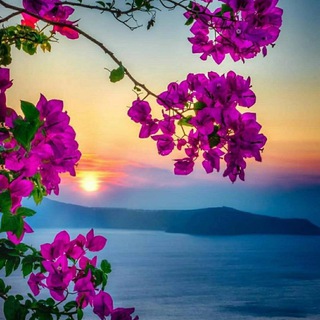 Логотип Телеграм канала coloroflife_evolution. Бесплатная аналитика Telegram каналов