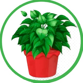 Логотип Телеграм канала IndoorFlowersN. Бесплатная аналитика Telegram каналов