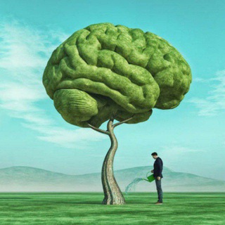 Логотип Телеграм канала . Бесплатная аналитика Telegram каналов