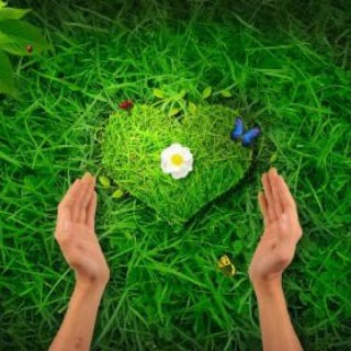 Логотип Телеграм канала priroda_zdorovye. Бесплатная аналитика Telegram каналов