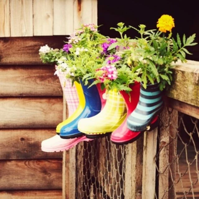 Telegram Channel logo dachniesoveti. Free Telegram Channel Analytics