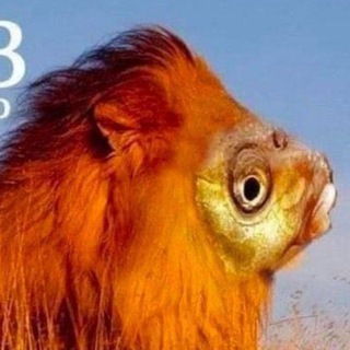 Telegram Channel logo МемоБосс. Free Telegram Channel Analytics