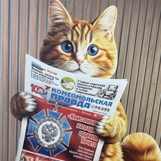 Telegram Channel logo kp_rostov. Free Telegram Channel Analytics