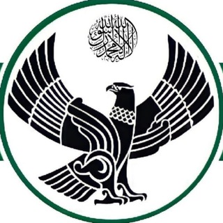 Логотип Телеграм канала dagestan_ob. Бесплатная аналитика Telegram каналов