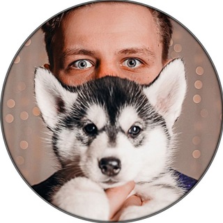 Логотип Телеграм канала СПБ XASKIBEST Фотосессия с мини лошадкой и хаски. Бесплатная аналитика Telegram каналов