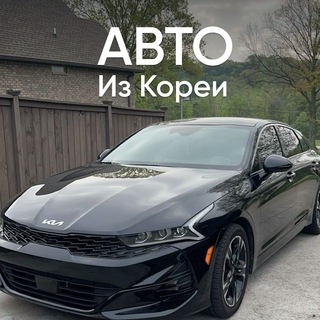 Логотип Телеграм канала . Бесплатная аналитика Telegram каналов