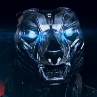 Логотип Телеграм канала . Бесплатная аналитика Telegram каналов