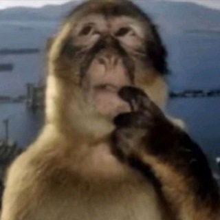 Логотип Телеграм канала . Бесплатная аналитика Telegram каналов