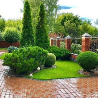 Telegram Channel logo cozy_garden. Free Telegram Channel Analytics