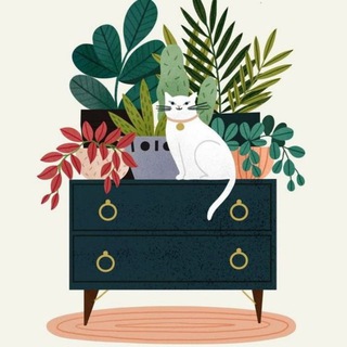 Telegram Channel logo +Saoo2xkYQVowMmFi. Free Telegram Channel Analytics