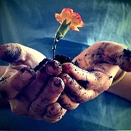 Логотип Телеграм канала lifestori. Бесплатная аналитика Telegram каналов