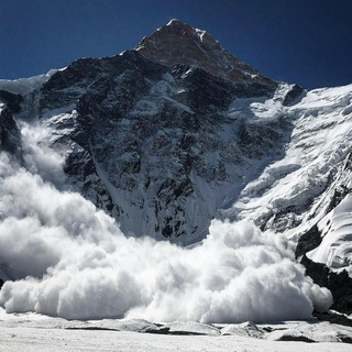 Логотип Телеграм канала . Бесплатная аналитика Telegram каналов