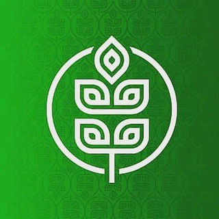 Telegram Channel logo Agrinoble Official Channel 🌱. Free Telegram Channel Analytics