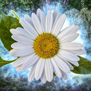 Telegram Channel logo +xCt-zHNKomEwNjUy. Free Telegram Channel Analytics