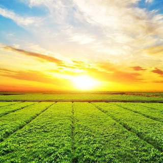 Telegram Channel logo СЕЛЬХОЗПОРТАЛ. Free Telegram Channel Analytics