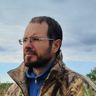 Telegram Channel logo alexfmoiseev. Free Telegram Channel Analytics