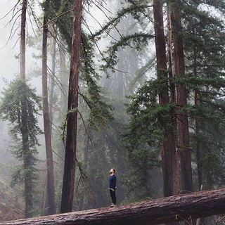 Telegram Channel logo . Free Telegram Channel Analytics