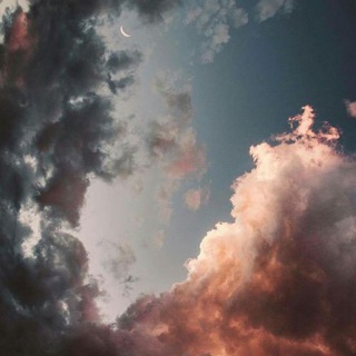 Telegram Channel logo Aesthetics. Free Telegram Channel Analytics