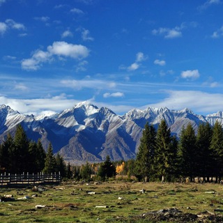 Логотип Телеграм канала +ky6QNI1TosVlODIy. Бесплатная аналитика Telegram каналов