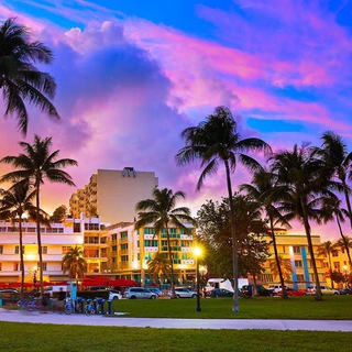 Telegram Channel logo MiamiFloridainfo. Free Telegram Channel Analytics