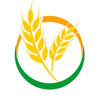 Логотип Телеграм канала rshbnews. Бесплатная аналитика Telegram каналов