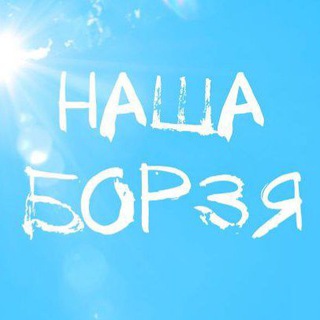 Telegram Channel logo nashaborzya. Free Telegram Channel Analytics